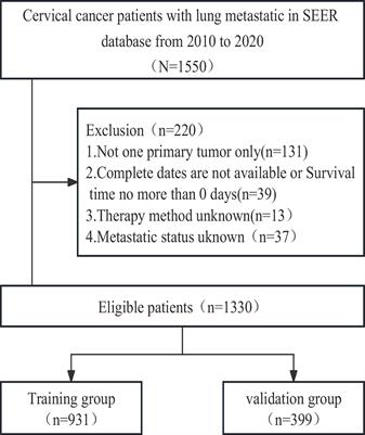 Construction and validation of an innovative prognostic nomogram for overall survival in cervical cancer patients with lung metastasis: an analysis utilizing the SEER database
